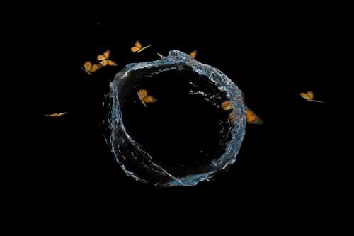 Lex Brown, still from Finding Belief in Life Again (2020)