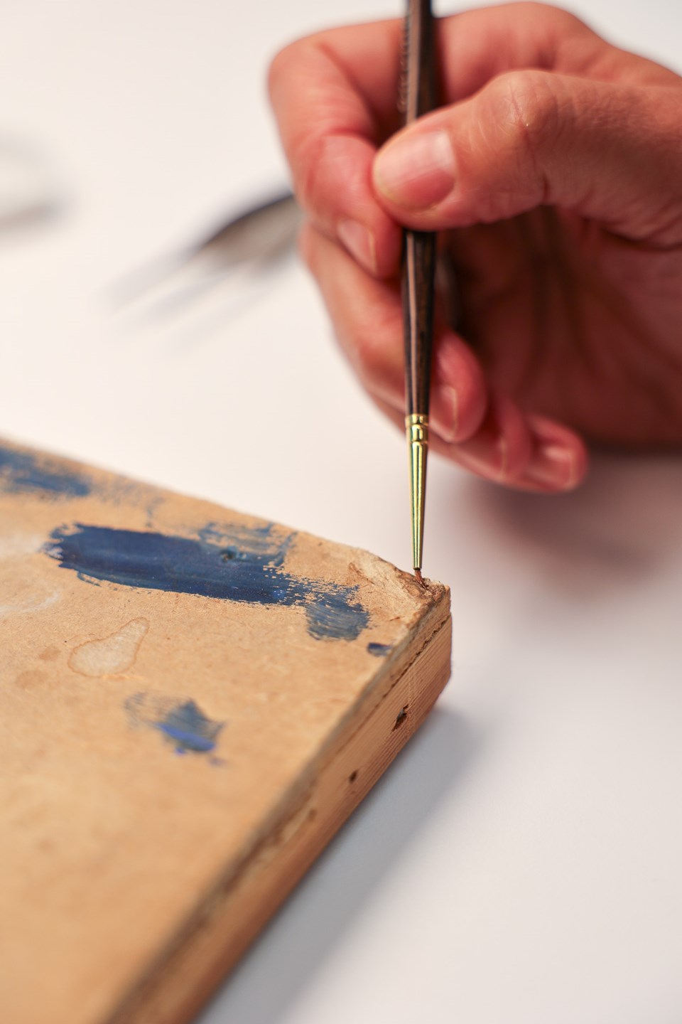 Ask a Conservator
