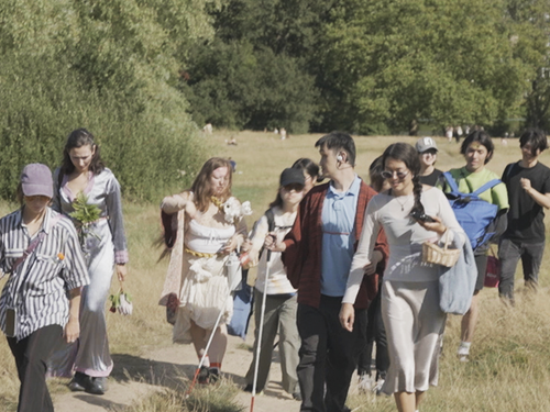 En gruppe med mennesker går på en kjerrevei i et landskap med skog og åker. Det er sommer og sol. Flere av personene bruker hvit stokk. Fotografi