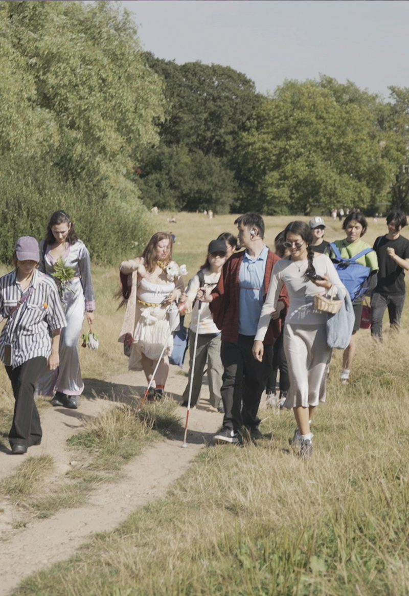 A group of people walking along a cart road in a landscape of forest and fields. It is a sunny summer day, and several of the people are using white canes. Photograph.