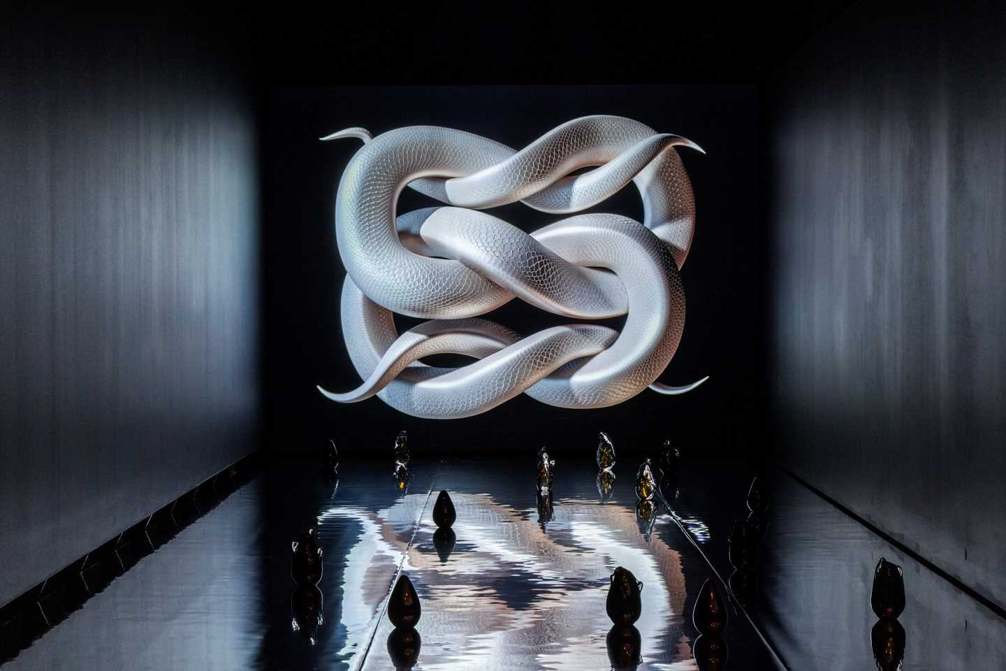 Et mørkt avlangt rom der det i enden lengst unna vises en hvit, slangeaktig knute. Gulvet er dekket med en blank film som minner om en vannflate og oppå denne står glasskulpturer. Fotografi