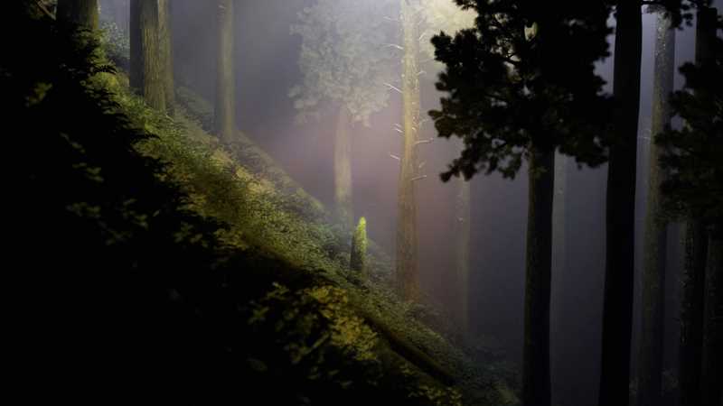 A dark forest with a steep slope and a streak of light illuminating part of the trees. Screenshot.