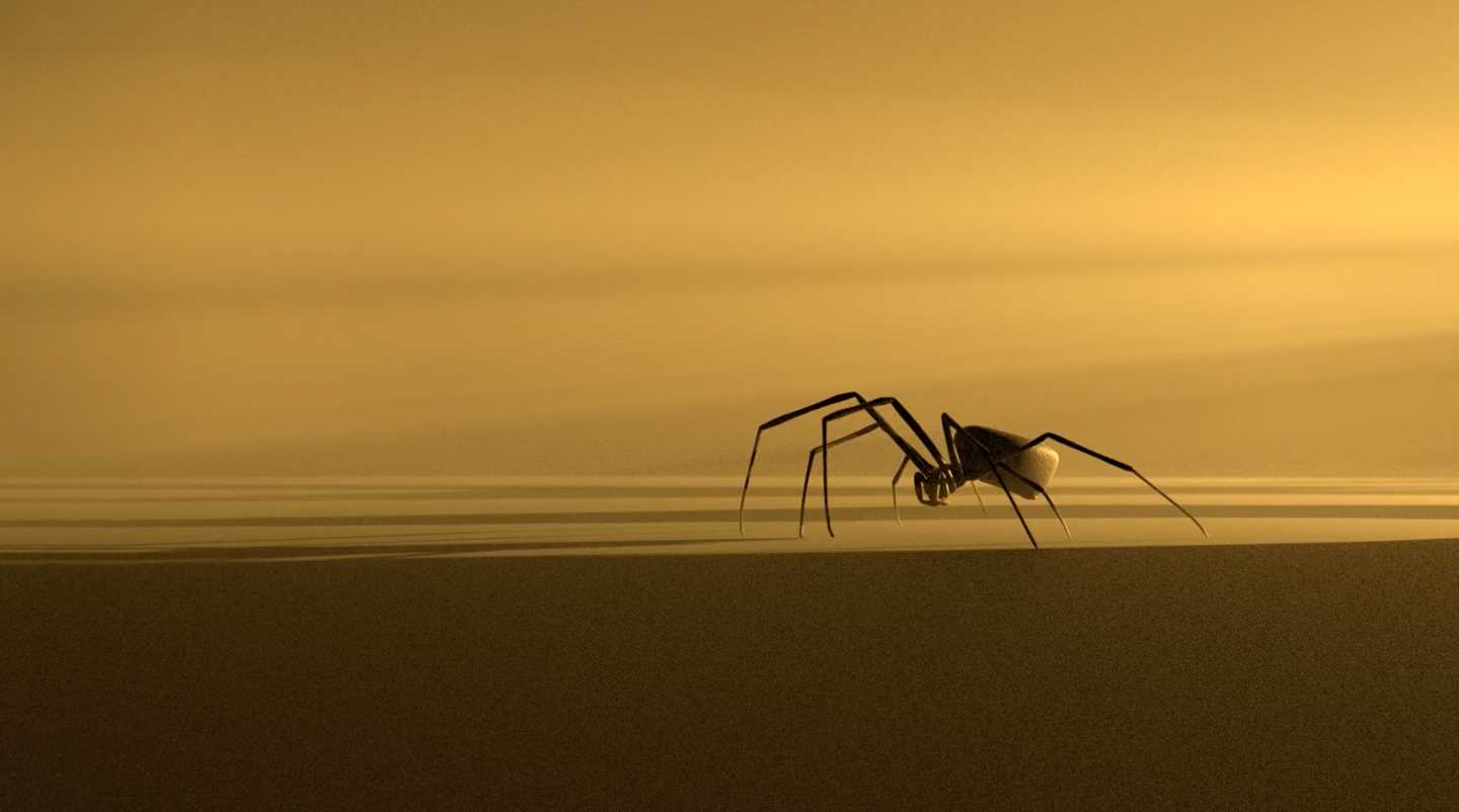 En edderkopp i metall inne i et rom der lyset kommer inn fra høyre side. Gullfarget bakgrunn. Foto