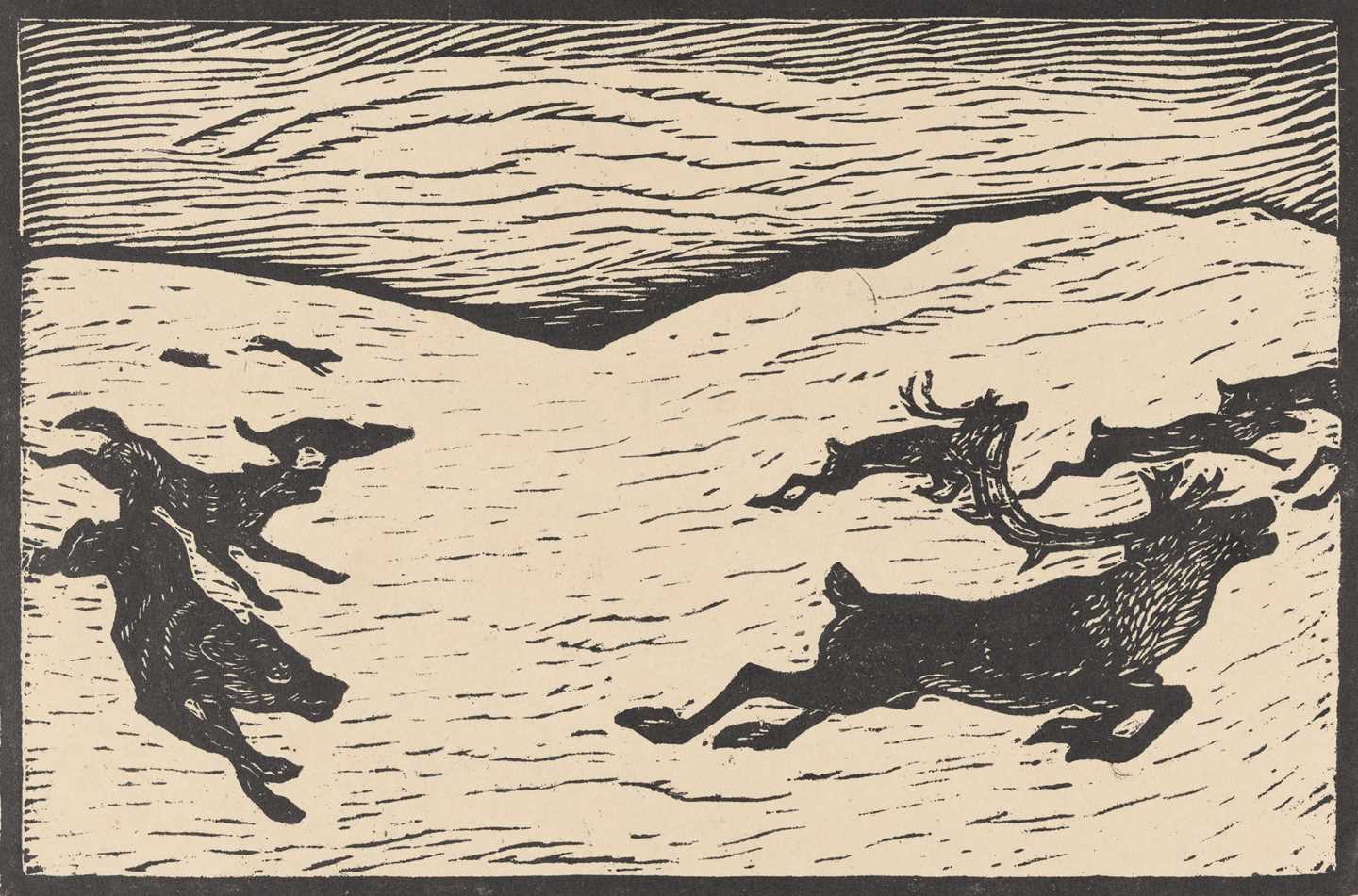 Snow-covered plains where a herd of reindeer runs with several wolves chasing behind. Woodcut.